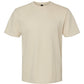 Adult T-Shirt