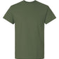 Adult T-Shirt